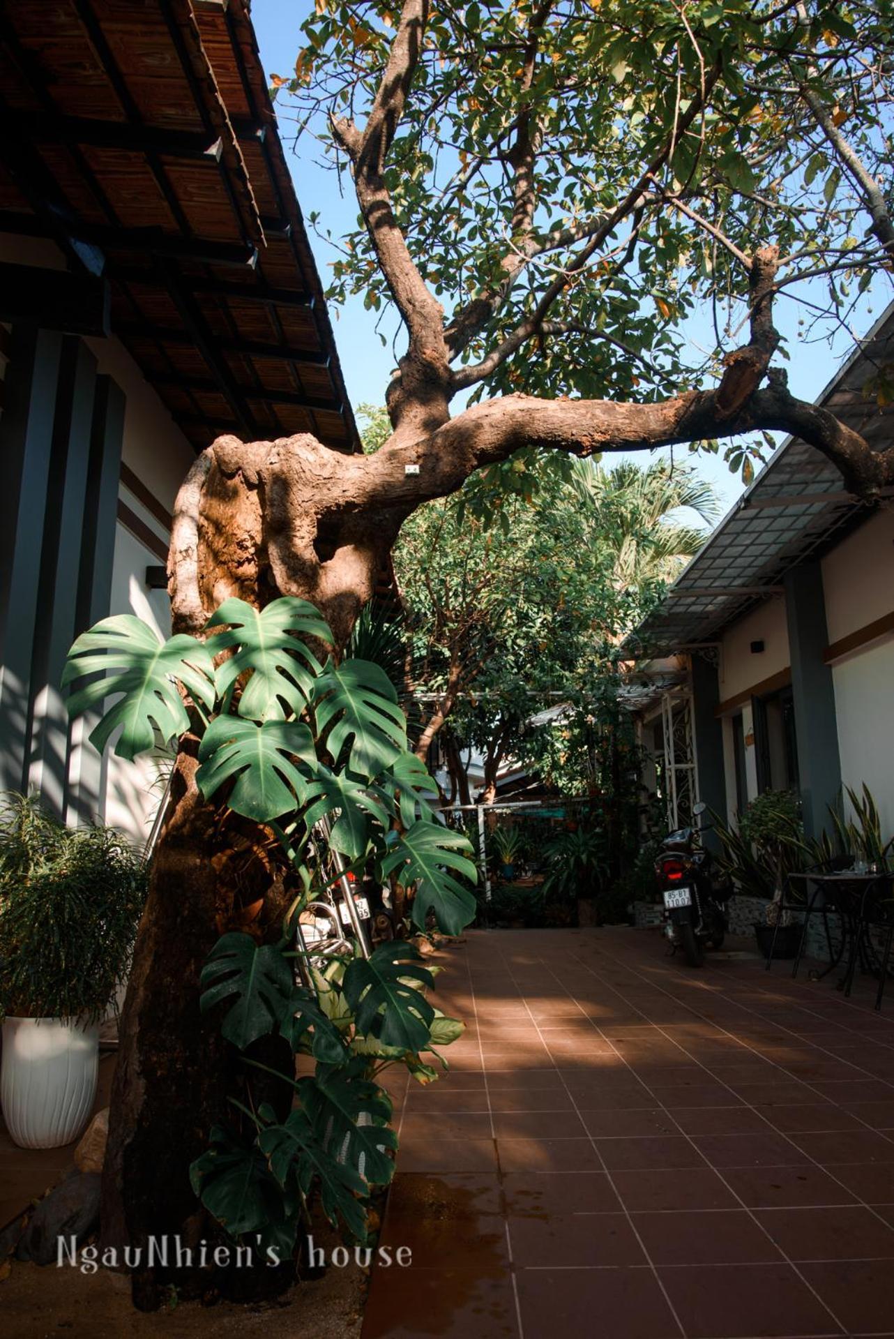 Ngaunhien'S House - Homestay Phan Rang Kültér fotó